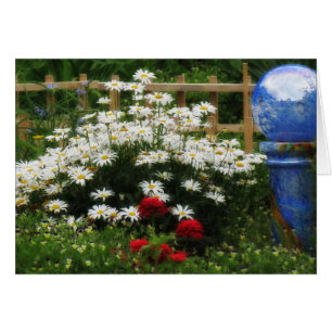 Shasta Garden - Daisies