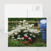Shasta Garden Postkarte (Vorne/Hinten)