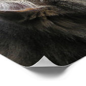 Shasta - in Gedanken Poster (Ecke)