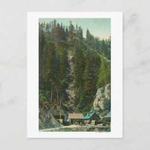 Shasta King MineKennett, CA Postkarte