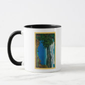 Shasta Lake ViewShasta, CA Tasse (Links)