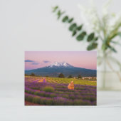 Shasta Lavender Sunset.. Postkarte (Stehend Vorderseite)