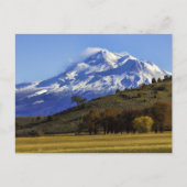 SHASTA VIEW POSTKARTE (Vorderseite)