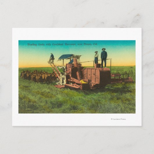 Shaver Lake Winter SceneShaver Lake, CA Postkarte (Vorderseite)