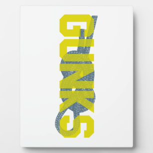 Shawagunks Climbing Fotoplatte