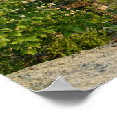 Shawangunk Mountains, NY Poster (Ecke)