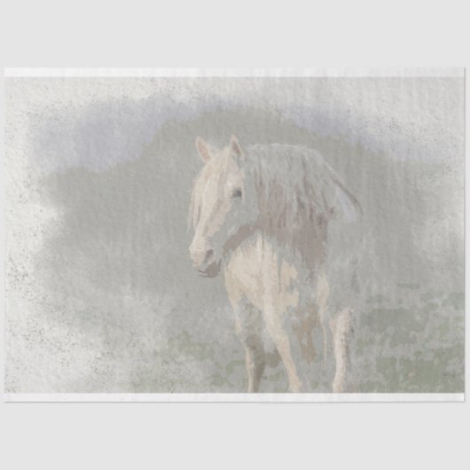 Shawnee Mare Seidenpapier (Vorderseite)