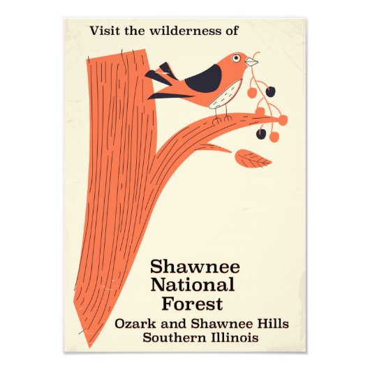Shawnee National Forest Illinois Vintage Poster (Vorne)