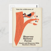 Shawnee National Forest Illinois Vintage Poster Postkarte (Vorne/Hinten)