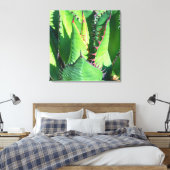 Shaw's Agave Leinwanddruck (Insitu (Schlafzimmer))