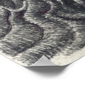 Shayol, Tinte zeichnend Poster (Ecke)