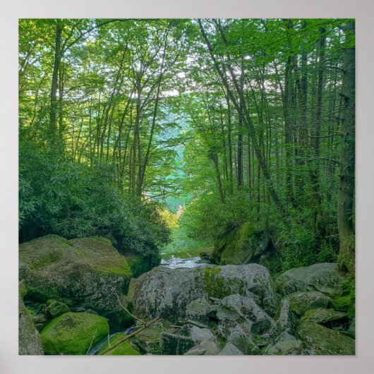 Shays Run, West Virginia Poster (Vorne)