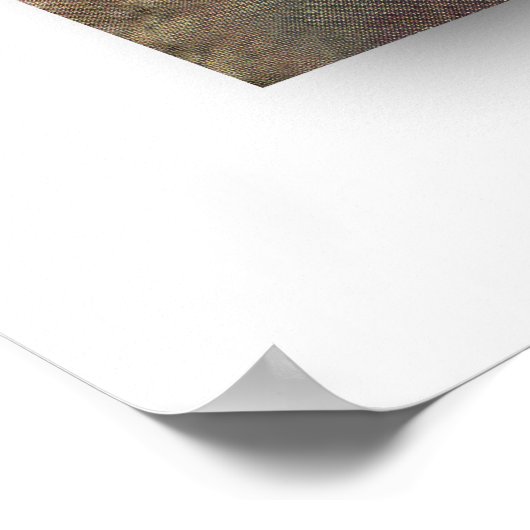 She-Devil von Harry Hervey Poster (Ecke)