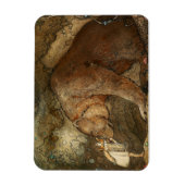 "She Kissing the Bären" von John Bauer Magnet (Vertikal)