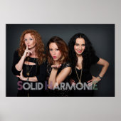 SHE-Poster 2014 Poster (Vorne)