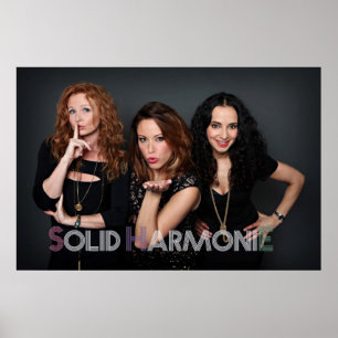 SHE-Poster 2014 Poster