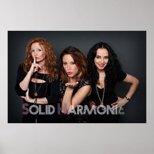 SHE-Poster 2014 Poster (Vorne)