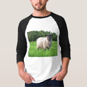 Sheal grundlegender 3/4 HülseRaglan T-Shirt