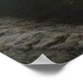 Sheas Buffalo Poster (Ecke)