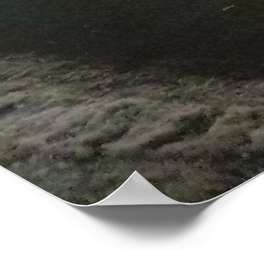 Sheas Buffalo Poster (Ecke)