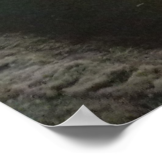 Sheas Buffalo Poster (Ecke)