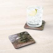 Shed Abandoned Getränkeuntersetzer (Rechte Seite)