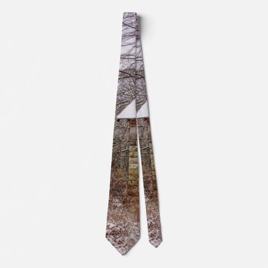 Shed Abandoned Neck Tie Krawatte (Vorderseite)