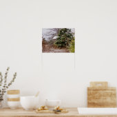 Shed Abandoned Poster (Küche)