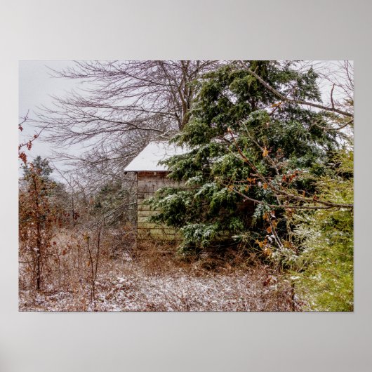 Shed Abandoned Poster (Vorne)