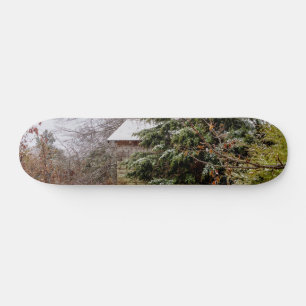 Shed Abandoned Skateboard