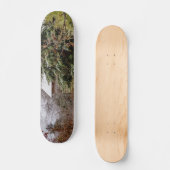 Shed Abandoned Skateboard (Vorderseite)