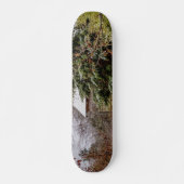 Shed Abandoned Skateboard (Vorne)