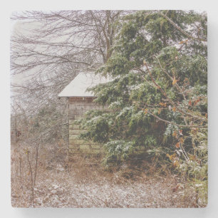 Shed Abandoned Steinuntersetzer