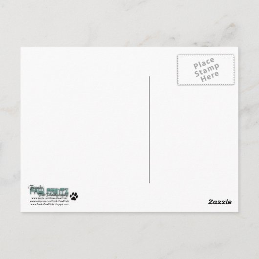 Sheeba sieht auf postkarte (Rückseite)