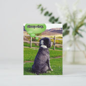 Sheep Ahoy Postcard Postkarte (Stehend Vorderseite)