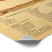 Sheep Anatomy Atlas Chart Poster (Ecke)