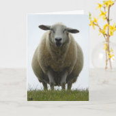Sheep Apology Card Karte (Gelbe Blume)