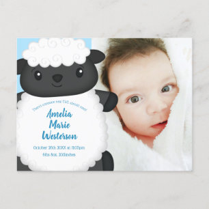 Sheep Baby Dusche Blue Postkarte
