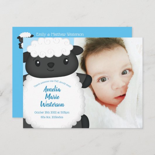 Sheep Baby Dusche Farm Blue Boy Postkarte (Vorne/Hinten)