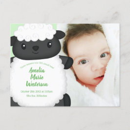 Sheep Baby Showfarm Postkarte