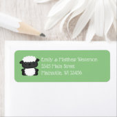 Sheep Baby Showgrün (Insitu)