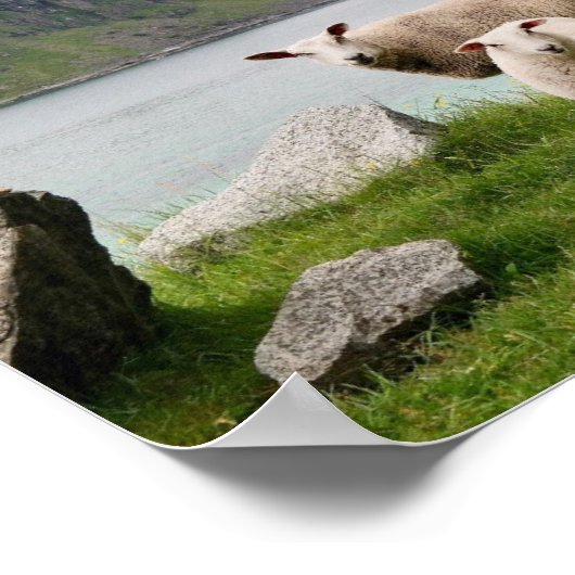 Sheep Beside Still Waters Poster (Ecke)
