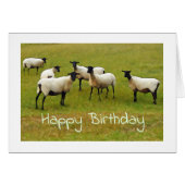 Sheep Birthday Card (Vorderseite (Horizontal))