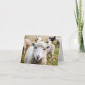 Sheep Custom Dankeschön Karte (Vorderseite)