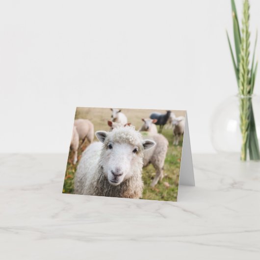 Sheep Custom Dankeschön Karte (Vorderseite)