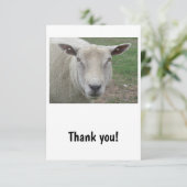 Sheep Design Danke Karte (Stehend Vorderseite)