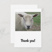 Sheep Design Danke Karte (Vorne/Hinten)