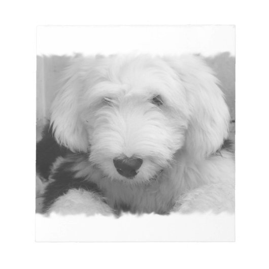 Sheep Dog Notepad Notizblock (Vorderseite)