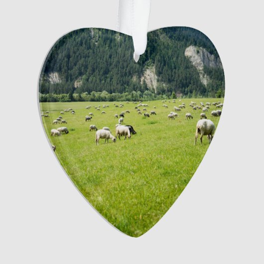 Sheep Farm Shepherd Dated Photo Custom Ornament (Vorderseite)