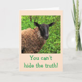 Sheep Flattery Birthday Karte (Vorderseite)